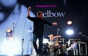Elbow  (10)